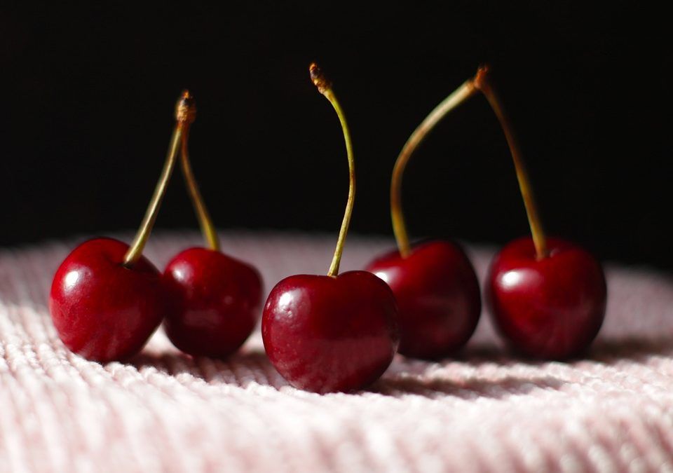 Pasos para iniciar tu propia consultoría alimentaria